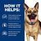 Show in main carousel: Hill's Prescription Diet Gastrointestinal Biome Chicken & Vegetable Stew Wet Dog Food, 12.5-oz, case of 12 slide 6 of 13