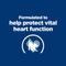 Show in main carousel: Hill's Prescription Diet h/d Heart Care Chicken Flavor Dry Dog Food, 17.6-lb bag slide 3 of 13