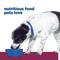 Show in main carousel: Hill's Prescription Diet i/d Digestive Care Stress Rice, Vegetable & Chicken Stew Wet Dog Food, 5.5-oz can, case of 24 slide 4 of 12