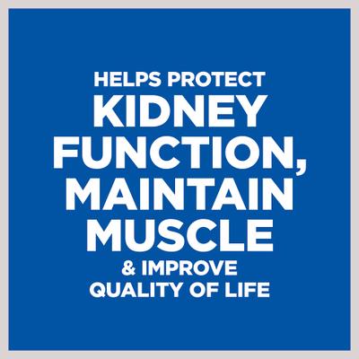 Show full view: Hill's Prescription Diet k/d Kidney Care with Lamb Canned Dog Food, 13-oz, case of 12, bundle of 2 slide 4 of 12