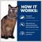 Show in main carousel: Hill's Prescription Diet m/d GlucoSupport with Liver Wet Cat Food, 5.5-oz, case of 24 slide 7 of 12