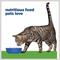 Show in main carousel: Hill's Prescription Diet Metabolic Chicken Flavor Dry Cat Food, 17.6-lb bag slide 8 of 14