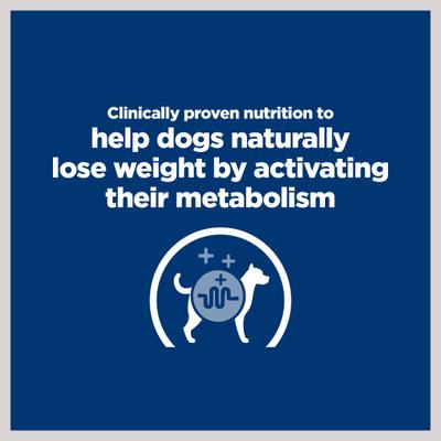 Show full view: Hill's Prescription Diet Metabolic Lamb Meal & Rice Dry Dog Food, 6-lb bag slide 5 of 14