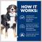Show in main carousel: Hill's Prescription Diet Metabolic + Mobility j/d Chicken Flavor Dry Dog Food, 24-lb bag slide 7 of 14