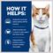 Show in main carousel: Hill's Prescription Diet ONC Care Chicken & Vegetable Stew Wet Cat Food, 2.9-oz can, case of 24 slide 5 of 10