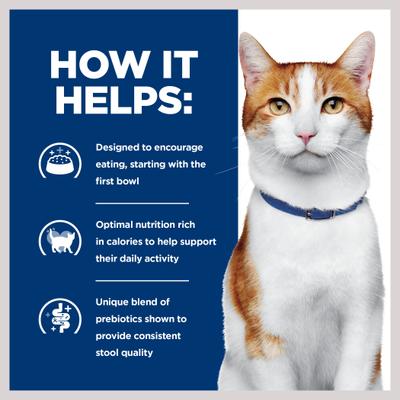 Show full view: Hill's Prescription Diet ONC Care Chicken & Vegetable Stew Wet Cat Food, 2.9-oz can, case of 24 slide 5 of 10