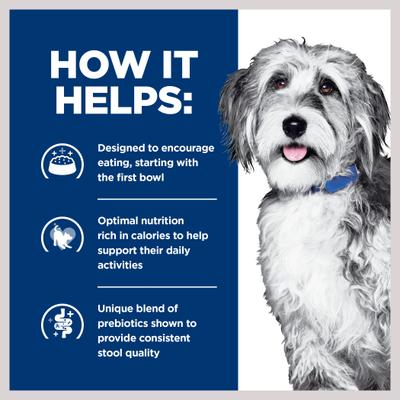 Show full view: Hill's Prescription Diet ONC Care Chicken & Vegetable Stew Wet Dog Food, 12.5-oz can, case of 12 slide 5 of 11