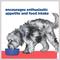 Show in main carousel: Hill's Prescription Diet ONC Care Chicken & Vegetable Stew Wet Dog Food, 12.5-oz can, case of 12 slide 7 of 11