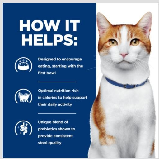 Show full view: Hill's Prescription Diet ONC Care Dry Cat Food, 7-lb bag slide 5 of 11
