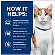 Show in main carousel: Hill's Prescription Diet ONC Care Dry Cat Food, 7-lb bag slide 5 of 11