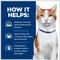 Show in main carousel: Hill's Prescription Diet ONC Care Dry Cat Food, 7-lb bag slide 5 of 11