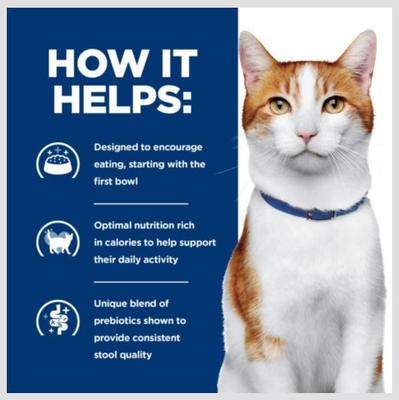 Show full view: Hill's Prescription Diet ONC Care Dry Cat Food, 7-lb bag slide 5 of 11