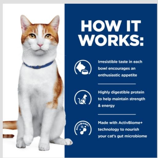 Show full view: Hill's Prescription Diet ONC Care Dry Cat Food, 7-lb bag slide 6 of 11