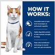 Show in main carousel: Hill's Prescription Diet ONC Care Dry Cat Food, 7-lb bag slide 6 of 11