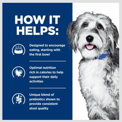 Show full view: Hill's Prescription Diet ONC Care Dry Dog Food, 6-lb bag slide 5 of 11