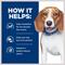 Show in main carousel: Hill's Prescription Diet r/d Weight Reduction/Management Chicken Flavor Dry Dog Food, 17.6-lb bag slide 6 of 13