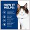 Show in main carousel: Hill's Prescription Diet w/d Multi-Benefit with Chicken Dry Cat Food, 17.6-lb bag slide 6 of 13