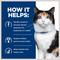 Show in main carousel: Hill's Prescription Diet y/d Thyroid Care with Chicken Wet Cat Food, 5.5-oz, case of 24 slide 6 of 12