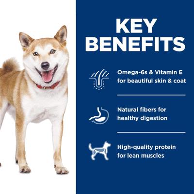 Show full view: Hill's Science Diet Adult 1-6 Chicken & Brown Rice Recipe No Corn, Wheat or Soy Dry Dog Food, 15-lb bag slide 6 of 12