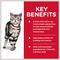 Show in main carousel: Hill's Science Diet Adult Indoor Ocean Fish Entree Wet Cat Food, 5.5-oz can, case of 24 slide 6 of 13