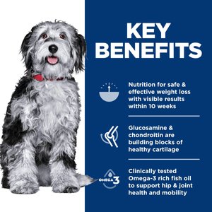 Hill's Science Diet Adult Perfect Weight & Joint Support Hearty Vegetables & Tuna Stew Canned Wet Dog Food, 12.5-oz can, 12 count