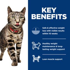 Hill's Science Diet Adult Perfect Weight Management Vegetable & Turkey Medley Chunks in Gravy Wet Cat Food, 2.9-oz can, 24 count slide 2 of 9