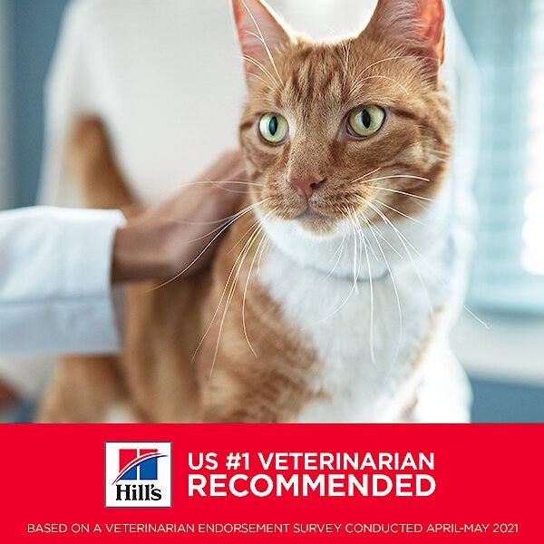 Hill's Science Diet Adult Sensitive Stomach & Sensitive Skin Chicken & Beef Wet Cat Food