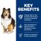 Show in main carousel: Hill's Science Diet Adult Sensitive Stomach & Sensitive Skin Chicken Recipe Dry Dog Food, 4-lb bag slide 7 of 14