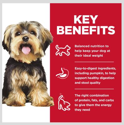 Show full view: Hill's Science Diet Adult Small Breed & Mini Breed Savory Stew Beef & Vegetable Wet Dog Food Trays, 3.5-oz, 12 count slide 5 of 11