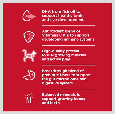 Show full view: Hill's Science Diet Kitten Healthy Cuisine Tender Chicken & Rice Medley Wet Cat Food, 2.8-oz can, case of 24 slide 5 of 14