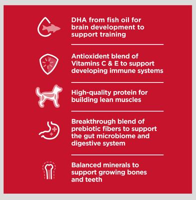 Show full view: Hill's Science Diet Kitten Liver & Chicken Entree Wet Cat Food, 5.5-oz can, case of 24 slide 5 of 14
