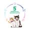 Show in main carousel: Hill's Science Diet Kitten Liver & Chicken Entree Wet Cat Food, 5.5-oz can, case of 24 slide 6 of 14