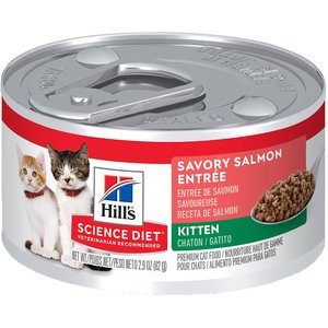 Hill's Science Diet Kitten Savory Salmon Entree Wet Cat Food, 2.9-oz can, case of 24