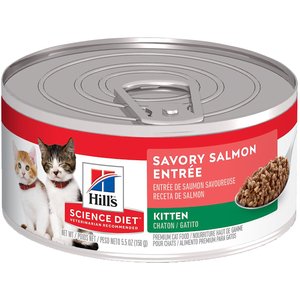 Hill's Science Diet Kitten Savory Salmon Entree Wet Cat Food, 5.5-oz can, case of 24