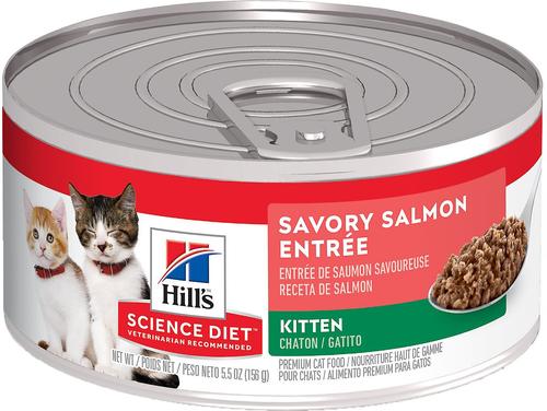 HILL'S SCIENCE DIET Kitten Savory Salmon Entree Wet Cat Food, 5.5-oz can,  case of 24 - Chewy.com