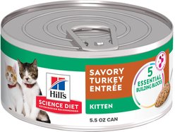 Hill's Science Diet Kitten Savory Turkey Entree Wet Cat Food, 5.5-oz can, case of 24