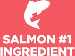 Hill's Science Diet Kitten Sensitive Stomach & Sensitive Skin Salmon & Brown Rice Recipe Dry Cat Food, 6-lb bag slide 2 of 9