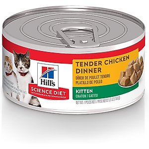 Hill's Science Diet Kitten Tender Chicken Dinner Wet Cat Food, 5.5-oz can, case of 24