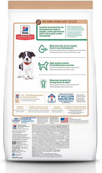 hills healthy development puppy food