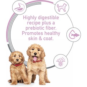 Hill's Science Diet Puppy Sensitive Stomach & Sensitive Skin Salmon & Brown Rice Recipe Dry Dog Food, 13-lb bag