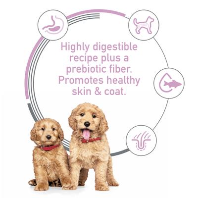 Hill's Science Diet Puppy Sensitive Stomach & Sensitive Skin Salmon & Brown Rice Recipe Dry Dog Food