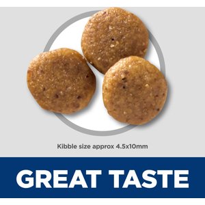 Hill's Science Diet Puppy Sensitive Stomach & Sensitive Skin Salmon & Brown Rice Recipe Dry Dog Food, 13-lb bag