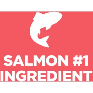 Hill's Science Diet Puppy Sensitive Stomach & Sensitive Skin Salmon & Brown Rice Recipe Dry Dog Food, 13-lb bag