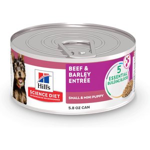 Hill's Science Diet Puppy Small Breed & Mini Breed Beef & Barley Entree Wet Dog Food, 5.8-oz can, 24 count