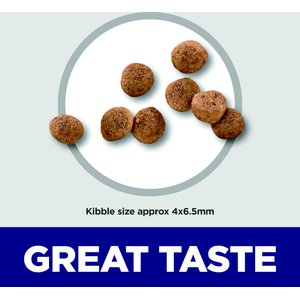 Hill's Science Diet Puppy Small Breed & Mini Breed Chicken Meal & Brown Rice Recipe Dry Dog Food, 12.5-lb bag