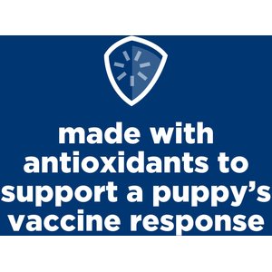 Hill's Science Diet Puppy Small Breed & Mini Breed Chicken Meal & Brown Rice Recipe Dry Dog Food, 12.5-lb bag