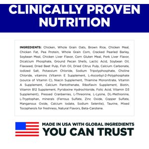 Hill's Science Diet Puppy Small Breed & Mini Breed Chicken Meal & Brown Rice Recipe Dry Dog Food, 12.5-lb bag