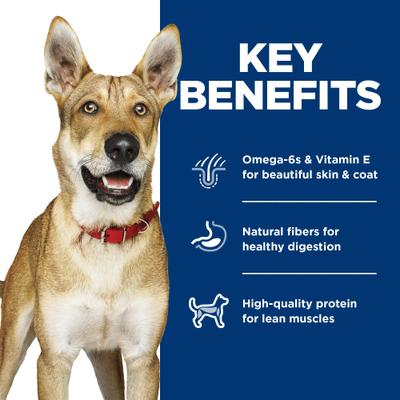 Show full view: Hill's Science Diet Variety Pack Adult Wet Dog Food, 13-oz, case of 12 slide 7 of 12