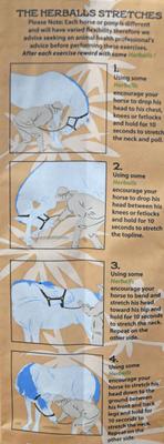 Show full view: Hilton Herbs Herballs Horse Supplement, 1.1-lb bag slide 4 of 6