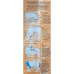 Show in main carousel: Hilton Herbs Herballs Horse Supplement, 4.4-lb bag slide 2 of 5